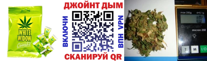 Купить где  Жердевка  Canna-Cookies конопля 