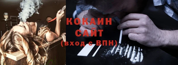 apvp Гусев