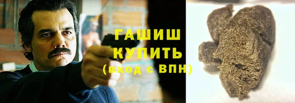 apvp Гусев