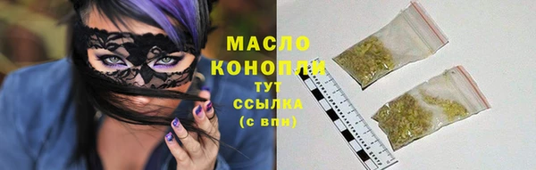 apvp Гусев