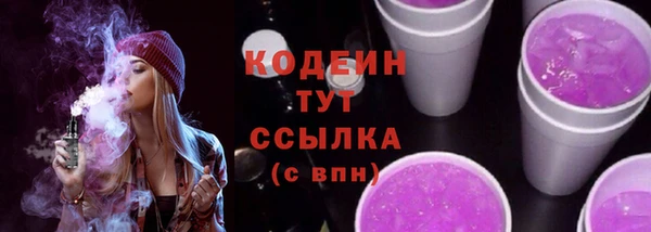 apvp Гусев