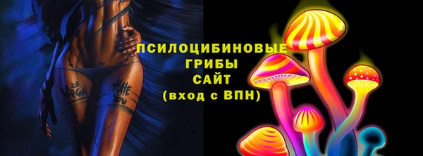 гидра Гусь-Хрустальный