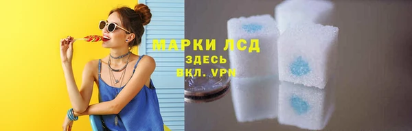 apvp Гусев