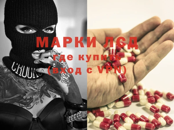 гидра Гусь-Хрустальный