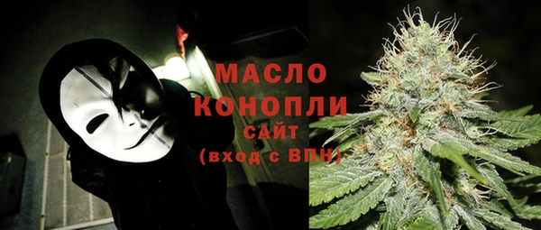 гидра Гусь-Хрустальный