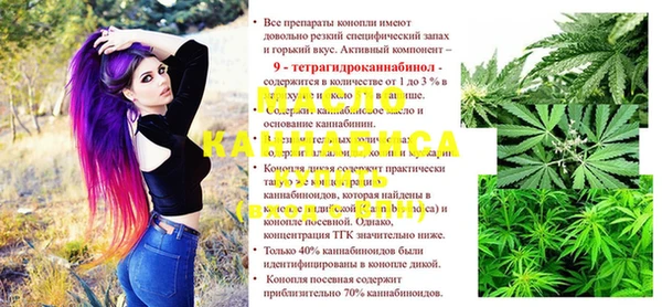 apvp Гусев